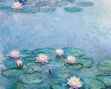 Carica l'immagine nel visualizzatore di Gallery, Diamond Painting - Ninfee 1914-1917 collezione privata, Monet