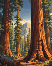 Carica l'immagine nel visualizzatore di Gallery, Diamond Painting - Parco nazionale di Yosemite, Mariposa Grove - California