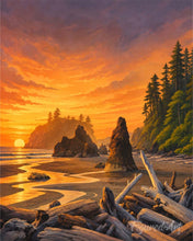 Carica l'immagine nel visualizzatore di Gallery, Diamond Painting - Olympic National Park - Washington