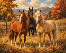 Carica l'immagine nel visualizzatore di Gallery, Diamond Painting - Cavalli nel Prato d'Autunno