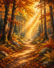 Carica l'immagine nel visualizzatore di Gallery, Diamond Painting - Sentiero nel Bosco con Raggi di Sole
