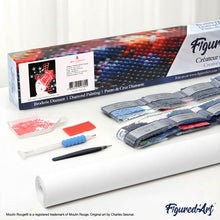 Carica l'immagine nel visualizzatore di Gallery, Diamond Painting - Manifesto Moulin Rouge - Parigi sotto le stelle