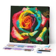 Carica l'immagine nel visualizzatore di Gallery, Mini Diamond Painting 25x25cm Rosa Multicolore