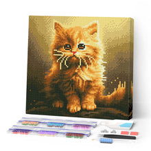 Carica l'immagine nel visualizzatore di Gallery, Mini Diamond Painting 25x25cm Gattino Rosso