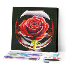 Carica l'immagine nel visualizzatore di Gallery, Mini Diamond Painting 25x25cm Rosa nel Cristallo