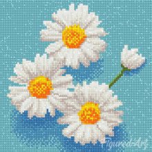 Carica l'immagine nel visualizzatore di Gallery, Mini Diamond Painting 25x25cm Pratoline