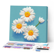 Carica l'immagine nel visualizzatore di Gallery, Mini Diamond Painting 25x25cm Pratoline