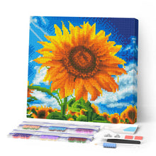 Carica l'immagine nel visualizzatore di Gallery, Mini Diamond Painting 25x25cm Baciato dal Sole