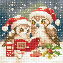 Carica l'immagine nel visualizzatore di Gallery, Mini Diamond Painting 25x25cm Gufi di Babbo Natale che leggono