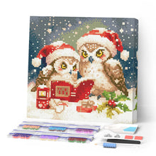Carica l'immagine nel visualizzatore di Gallery, Mini Diamond Painting 25x25cm Gufi di Babbo Natale che leggono