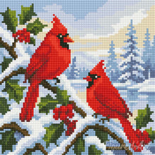 Carica l'immagine nel visualizzatore di Gallery, Mini Diamond Painting 25x25cm Cardinali invernali