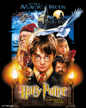 Carica l'immagine nel visualizzatore di Gallery, Diamond Painting - Harry Potter e la Pietra Filosofale 40x50cm tela già incorniciata