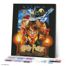 Carica l'immagine nel visualizzatore di Gallery, Diamond Painting - Harry Potter e la Pietra Filosofale 40x50cm tela già incorniciata