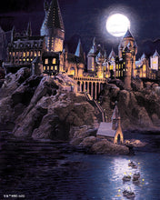 Carica l'immagine nel visualizzatore di Gallery, Diamond Painting - Castello di Hogwarts di notte - Harry Potter 40x50cm tela già incorniciata