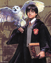 Carica l'immagine nel visualizzatore di Gallery, Diamond Painting - Harry Potter e Edvige 40x50cm tela già incorniciata