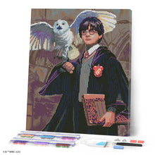 Carica l'immagine nel visualizzatore di Gallery, Diamond Painting - Harry Potter e Edvige 40x50cm tela già incorniciata
