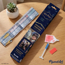 Carica l'immagine nel visualizzatore di Gallery, Diamond Painting - Harry Potter e Edvige