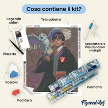 Carica l'immagine nel visualizzatore di Gallery, Diamond Painting - Harry Potter e Edvige