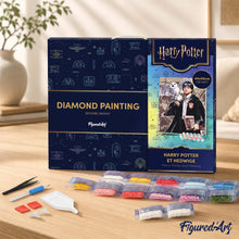 Carica l'immagine nel visualizzatore di Gallery, Diamond Painting - Harry Potter e Edvige 40x50cm tela già incorniciata