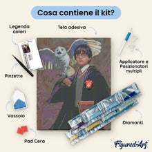 Carica l'immagine nel visualizzatore di Gallery, Diamond Painting - Harry Potter e Edvige 40x50cm tela già incorniciata