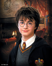 Carica l'immagine nel visualizzatore di Gallery, Diamond Painting - Ritratto di Harry Potter 40x50cm tela già incorniciata