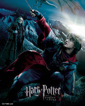 Carica l'immagine nel visualizzatore di Gallery, Diamond Painting - Harry Potter e il Calice di Fuoco 40x50cm tela già incorniciata