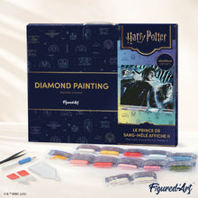 Carica l'immagine nel visualizzatore di Gallery, Diamond Painting - Harry Potter e il Principe Mezzosangue - Poster II 40x50cm tela già incorniciata