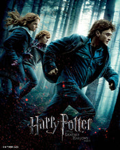 Carica l'immagine nel visualizzatore di Gallery, Diamond Painting - Harry Potter e i Doni della Morte Parte 1 40x50cm tela già incorniciata