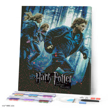 Carica l'immagine nel visualizzatore di Gallery, Diamond Painting - Harry Potter e i Doni della Morte Parte 1 40x50cm tela già incorniciata