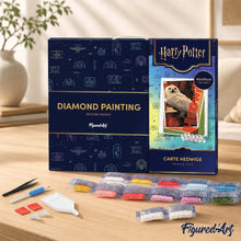 Carica l'immagine nel visualizzatore di Gallery, Diamond Painting - Carta di Edvige - Harry Potter 40x50cm tela già incorniciata