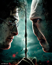 Carica l'immagine nel visualizzatore di Gallery, Diamond Painting - Harry Potter contro Lord Voldemort 40x50cm tela già incorniciata