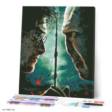 Carica l'immagine nel visualizzatore di Gallery, Diamond Painting - Harry Potter contro Lord Voldemort 40x50cm tela già incorniciata