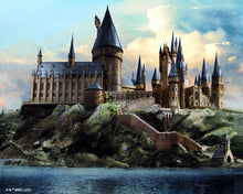 Carica l'immagine nel visualizzatore di Gallery, Diamond Painting - Castello di Hogwarts - Harry Potter 40x50cm tela già incorniciata