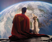 Carica l'immagine nel visualizzatore di Gallery, Diamond Painting - Superman e Krypto 40x50cm tela già incorniciata