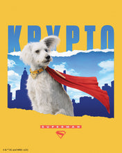 Carica l'immagine nel visualizzatore di Gallery, Diamond Painting - Krypto con lo skyline - Superman 40x50cm tela già incorniciata