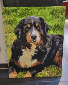 Dipingere con i numeri - Kit Personalizzato 40x50cm a 80x120cm