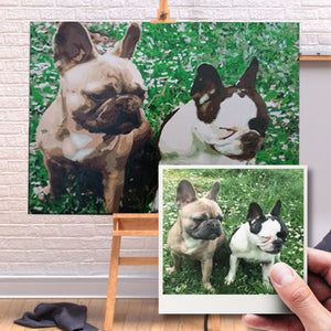 Dipingere con i numeri - Kit Personalizzato 40x50cm a 80x120cm