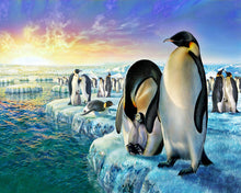 Carica l'immagine nel visualizzatore di Gallery, Dipingere con i numeri - Pinguini sul ghiaccio