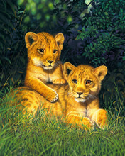 Carica l'immagine nel visualizzatore di Gallery, Dipingere con i numeri - Cuccioli di leone