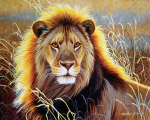 KEYIFA Maiale Dipingere Con I Numeri Per Adulti, Animale Painting By