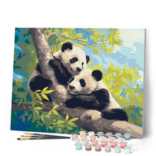 Carica l'immagine nel visualizzatore di Gallery, Dipingere con i numeri - Panda su un Ramo Figured'Art