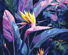 Carica l&#39;immagine nel visualizzatore di Gallery, Dipingere con i numeri - Uccello del paradiso Figured&#39;Art