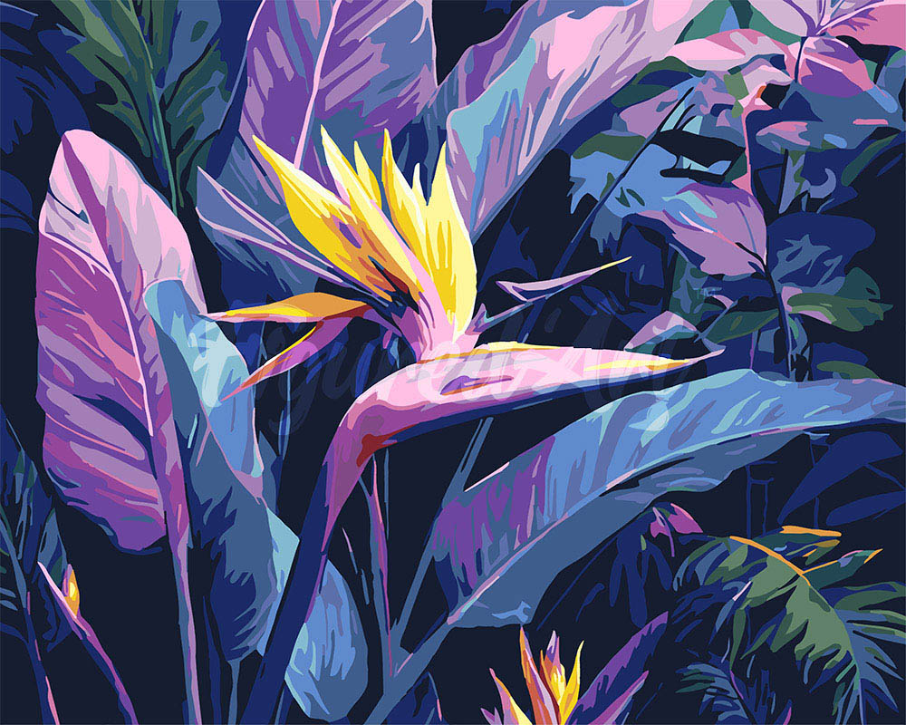 Dipingere con i numeri - Uccello del paradiso Figured'Art