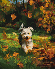 Carica l&#39;immagine nel visualizzatore di Gallery, Dipingere con i numeri - Cucciolo gioioso in autunno Figured&#39;Art