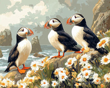 Carica l'immagine nel visualizzatore di Gallery, Dipingere con i numeri - Pulcinella di mare in campo di margherite Figured'Art