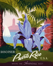 Carica l'immagine nel visualizzatore di Gallery, Dipingere con i numeri - Scopri Porto Rico Figured'Art