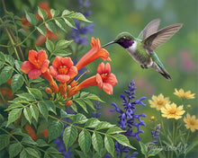 Carica l'immagine nel visualizzatore di Gallery, Dipingere con i numeri - Paradiso dei colibrì Figured'Art