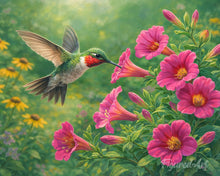 Carica l'immagine nel visualizzatore di Gallery, Dipingere con i numeri - Colibrì in volo Figured'Art