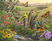 Carica l'immagine nel visualizzatore di Gallery, Dipingere con i numeri - Armonia tra fiori di campo Figured'Art