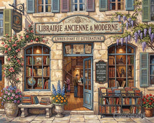 Carica l'immagine nel visualizzatore di Gallery, Dipingere con i numeri - Libreria senza tempo Figured'Art